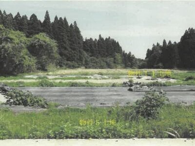 秋田県山本郡三種町 北金岡駅 戸建て 894万円の競売物件 #15