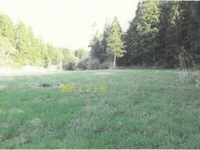 秋田県山本郡三種町 北金岡駅 戸建て 894万円の競売物件 #38