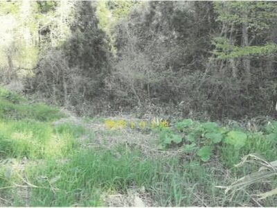 秋田県山本郡三種町 北金岡駅 戸建て 894万円の競売物件 #40