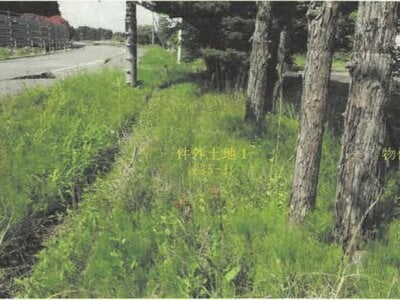 秋田県山本郡三種町 北金岡駅 戸建て 894万円の競売物件 #5