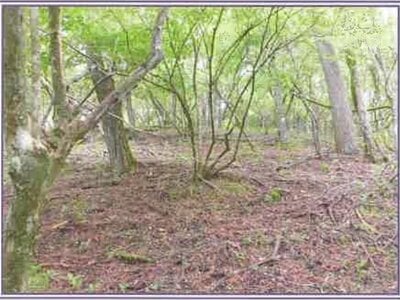 山梨県南都留郡山中湖村 土地 61万円の競売物件 #1