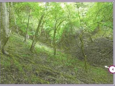 山梨県南都留郡山中湖村 土地 61万円の競売物件 #3