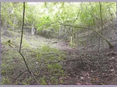 山梨県南都留郡山中湖村 土地 61万円の競売物件 #4