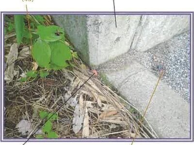 山梨県笛吹市 石和温泉駅 戸建て 850万円の競売物件 #25