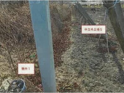 (値下げ) 山梨県南アルプス市 塩崎駅 農地 78万円の競売物件 #2