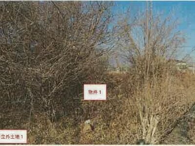 (値下げ) 山梨県南アルプス市 塩崎駅 農地 78万円の競売物件 #5