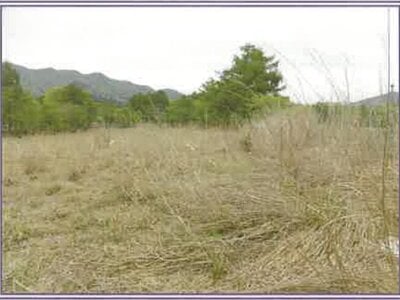 山梨県南都留郡山中湖村 農地 110万円の競売物件 #10