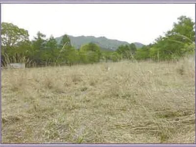 山梨県南都留郡山中湖村 農地 110万円の競売物件 #2