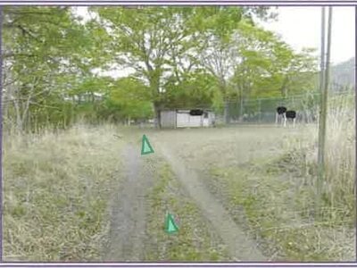 山梨県南都留郡山中湖村 農地 110万円の競売物件 #4