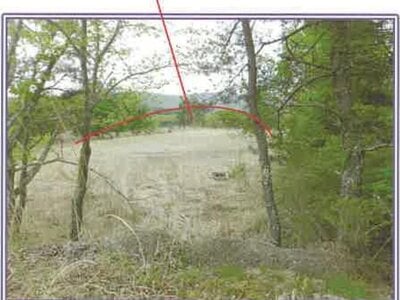 山梨県南都留郡山中湖村 農地 110万円の競売物件 #5