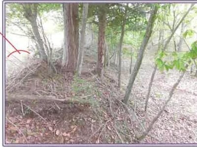 山梨県南都留郡山中湖村 農地 110万円の競売物件 #8