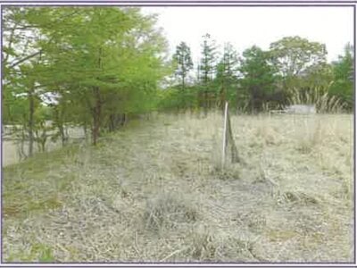 山梨県南都留郡山中湖村 農地 110万円の競売物件 #9