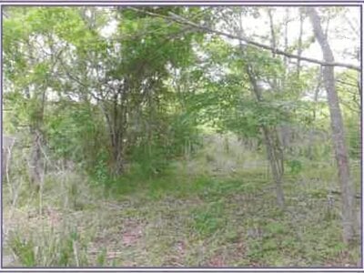 山梨県南都留郡山中湖村 農地 48万円の競売物件 #1