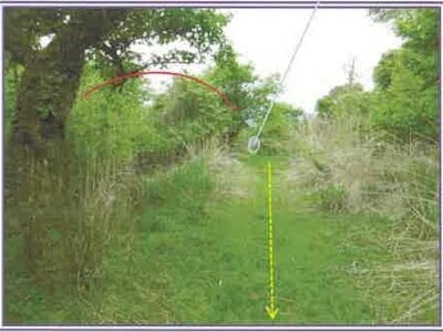 山梨県南都留郡山中湖村 農地 48万円の競売物件 #10