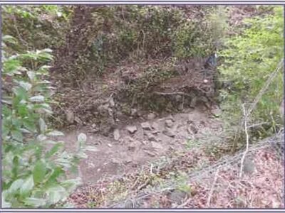 山梨県南都留郡山中湖村 農地 48万円の競売物件 #11