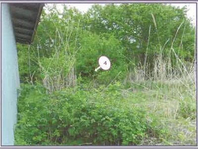 山梨県南都留郡山中湖村 農地 48万円の競売物件 #3