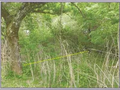 山梨県南都留郡山中湖村 農地 48万円の競売物件 #6