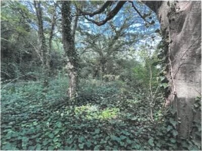 (値下げ) 香川県坂出市 八十場駅15分 戸建て 906万円の競売物件 #20