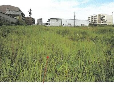 岐阜県岐阜市 西岐阜駅30分 土地 9,671万円の競売物件 #2