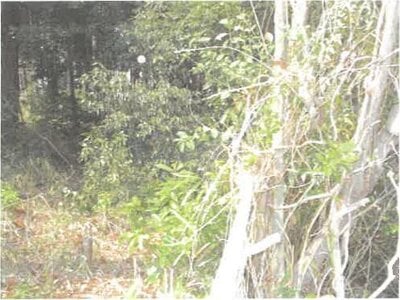 滋賀県草津市 手原駅 戸建て 966万円の競売物件 #9