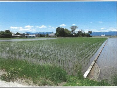 滋賀県守山市 野洲駅 農地 192万円の競売物件 #5