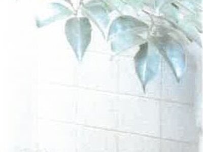 京都府京都市東山区 三条京阪駅4分 戸建て 1億5,827万円の競売物件 #11