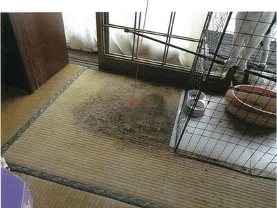 鹿児島県鹿屋市 戸建て 278万円の競売物件 #10