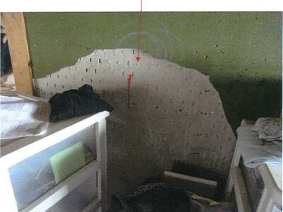 鹿児島県鹿屋市 戸建て 278万円の競売物件 #11