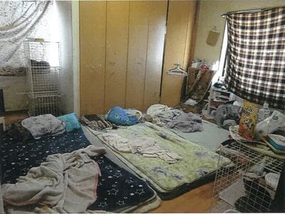 鹿児島県鹿屋市 戸建て 278万円の競売物件 #17