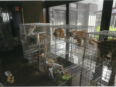 鹿児島県鹿屋市 戸建て 278万円の競売物件 #6