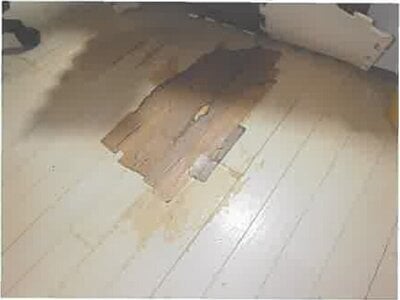 北海道亀田郡七飯町 七飯駅6分 戸建て 481万円の競売物件 #4