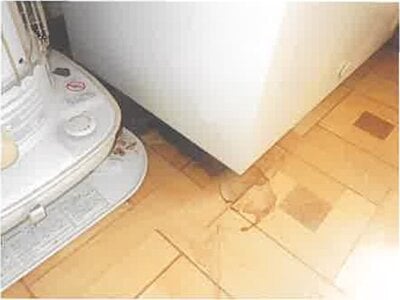 北海道函館市 柏木町駅 戸建て 311万円の競売物件 #7