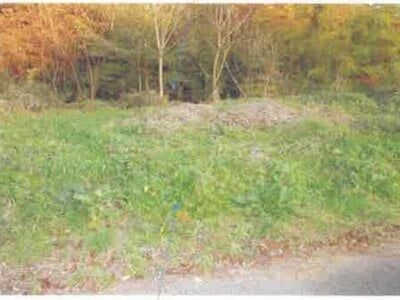 福島県安達郡大玉村 杉田駅 土地 23万円の競売物件 #2