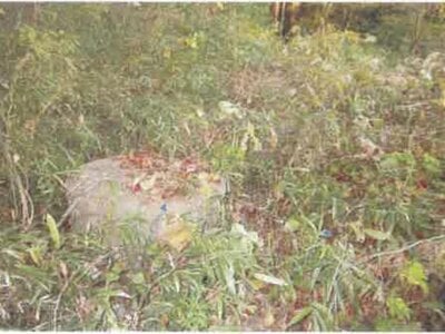 福島県安達郡大玉村 杉田駅 土地 23万円の競売物件 #5