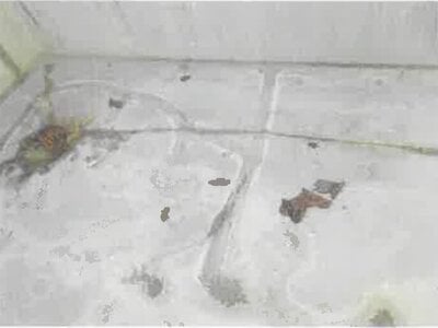 福島県郡山市 安積永盛駅10分 戸建て 705万円の競売物件 #33