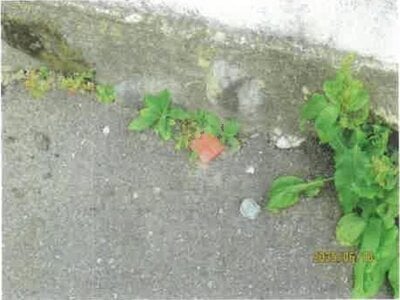 長野県松本市 北松本駅 戸建て 4,992万円の競売物件 #13