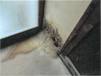 大阪府高槻市 総持寺駅7分 戸建て 1,060万円の競売物件 #13