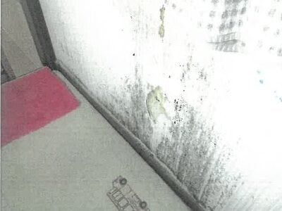 大阪府豊能郡豊能町 ときわ台駅10分 戸建て 487万円の競売物件 #9