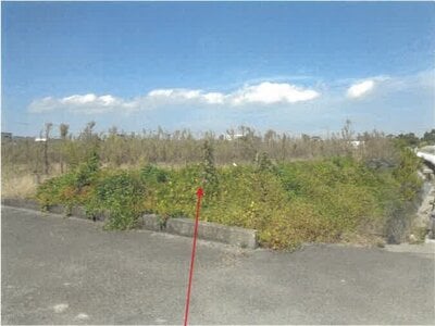 徳島県徳島市 徳島駅 農地 225万円の競売物件 #1