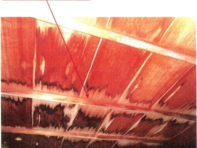 徳島県阿南市 見能林駅 戸建て 216万円の競売物件 #16