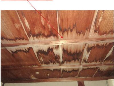 徳島県阿南市 見能林駅 戸建て 216万円の競売物件 #40