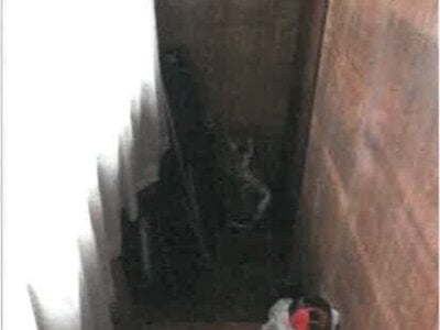 香川県高松市 香西駅13分 戸建て 73万円の競売物件 #24