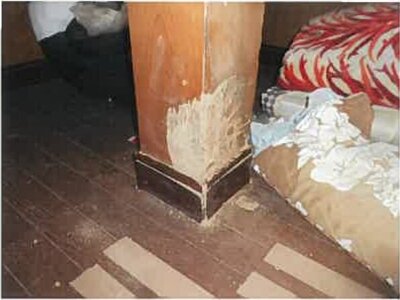 (値下げ) 熊本県八代市 肥後高田駅 戸建て 69万円の競売物件 #11