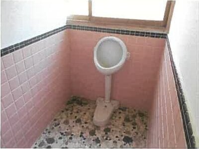 熊本県八代市 肥後二見駅30分 戸建て 113万円の競売物件 #10