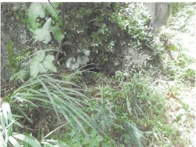 大分県佐伯市 上岡駅 戸建て 305万円の競売物件 #6