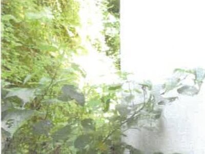 大分県佐伯市 上岡駅 戸建て 305万円の競売物件 #7