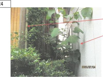 徳島県阿南市 阿波橘駅25分 戸建て 181万円の競売物件 #17