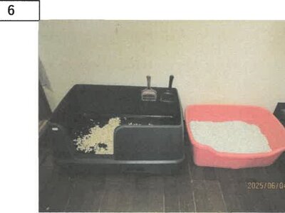 徳島県板野郡板野町 板野駅10分 戸建て 418万円の競売物件 #4