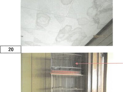 徳島県小松島市 南小松島駅15分 戸建て 184万円の競売物件 #16