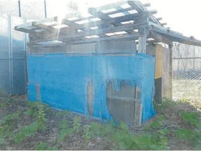 北海道小樽市 銭函駅26分 土地 759万円の競売物件 #11